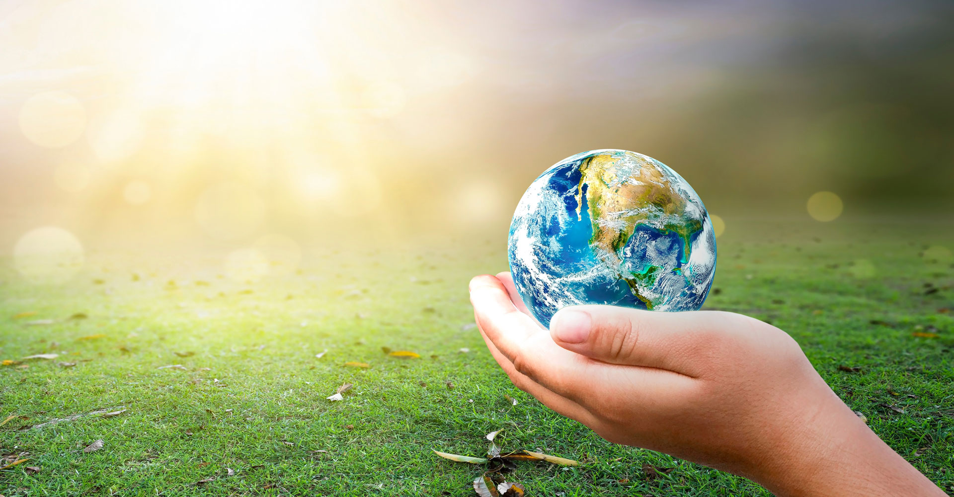 innovaconculting_sicurezza_alimentare_header2